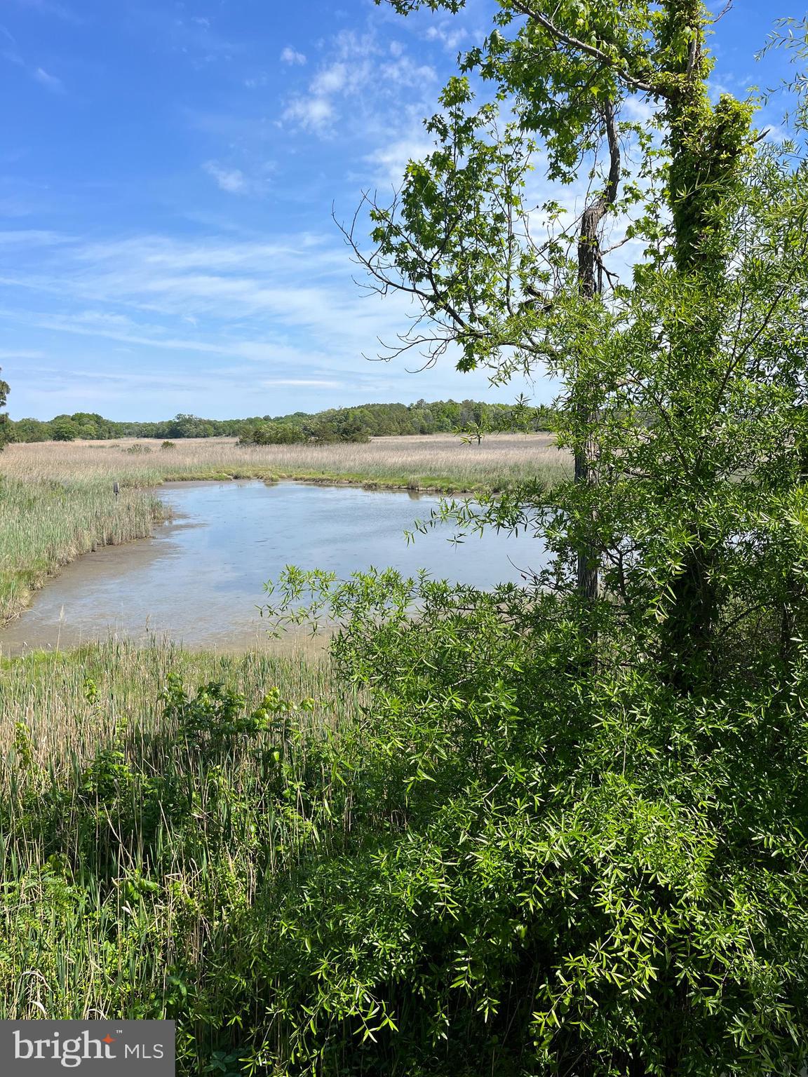 FRANKLIN MANOR BEACH - Residential