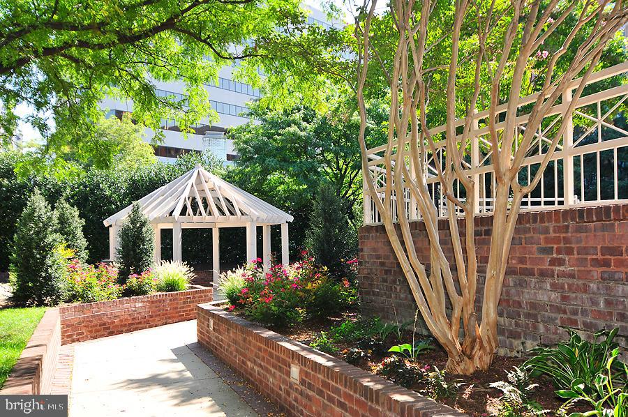 DOWNTOWN BETHESDA - Residential