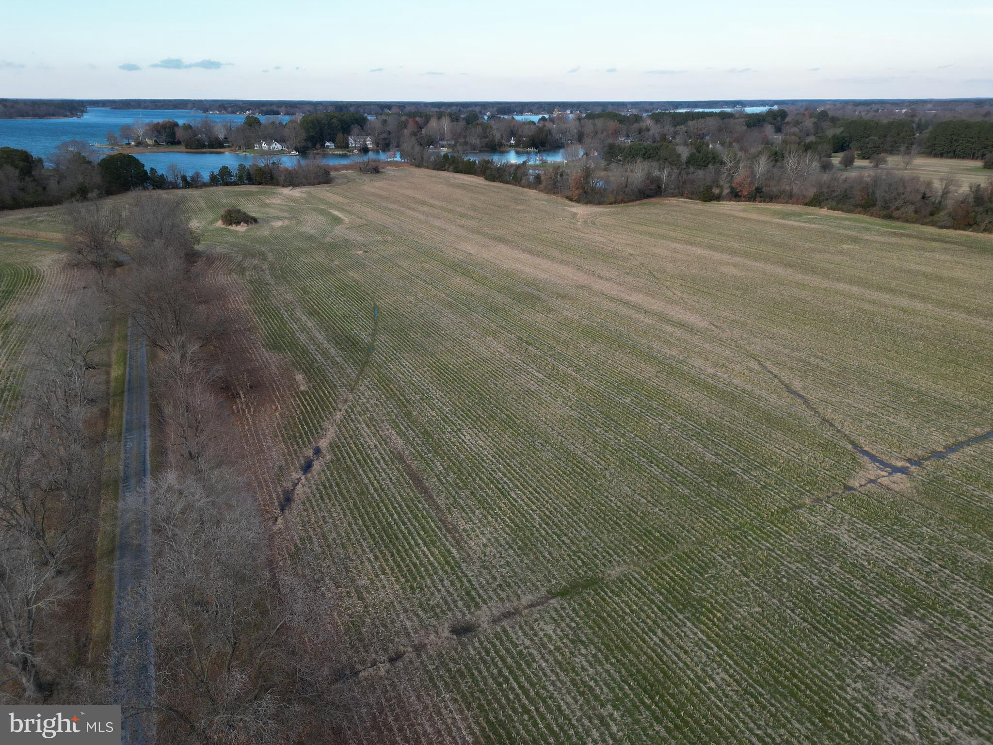 ROYAL OAK - Residential