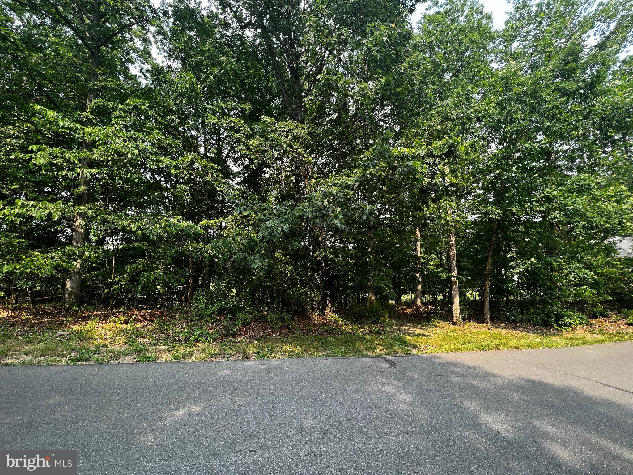 Don't miss out on this beautiful lot in lovely Lakewood! Situated so perfectly on N Lakewood Drive, you'll be in awe of the serenity that surrounds you. This really is a slice of heaven in wild & wonderful West Virginia! ALL UTILITIES (water, sewer, electric) are ON SITE and ready to be connected, including a gravity sewer hookup. This means no need for a grinder pump (on average, a $10k expense) and more money in your pocket to support your vision! All you need to do is imagine what your dream home could look like! All of this is waiting for YOU, so call today to see it for yourself!