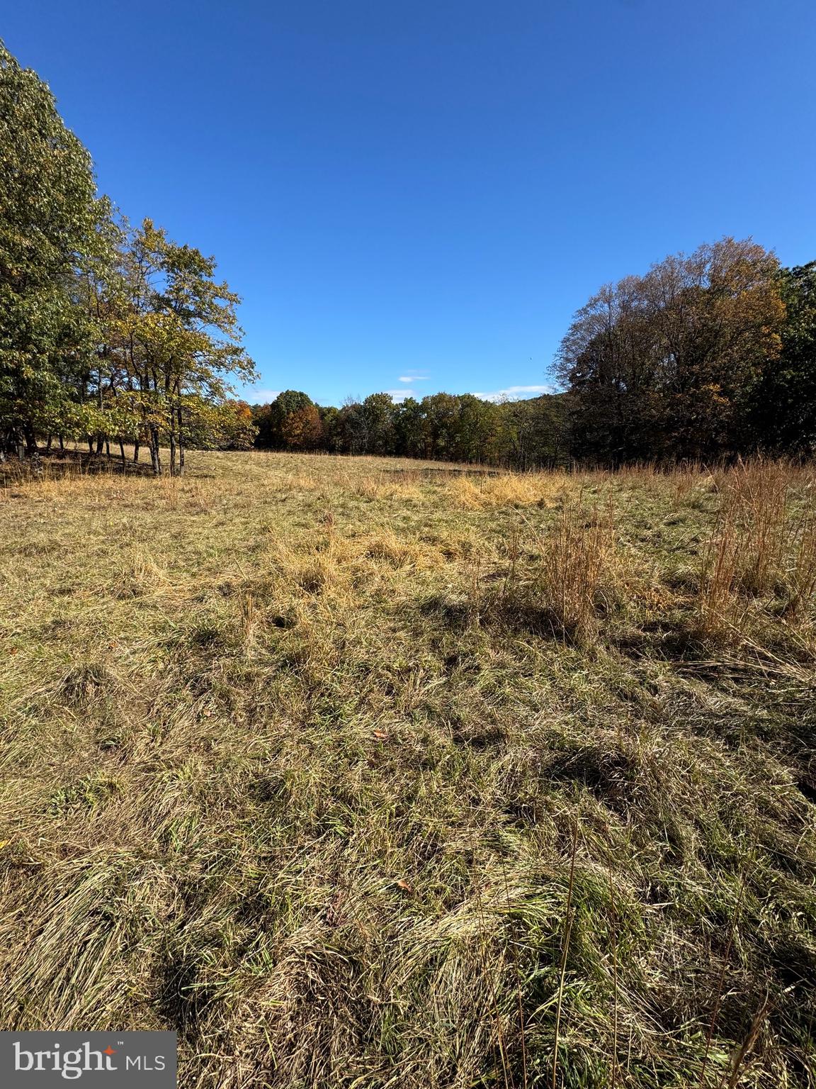 🌲 80.25 Acres of Scenic Mountain Land – Prime Hunting & Recreational Property in Petersburg, WV 🌲

Escape to your own private piece of Almost Heaven with this beautiful 80.25-acre tract located just off South Mill Creek Road in Petersburg, West Virginia. Mostly wooded and loaded with wildlife, this property is a dream come true for hunters, outdoor enthusiasts, investors, or anyone looking for privacy and recreation.

The property features a beautiful fenced-in field at the top that would be perfect for livestock, agriculture, food plots, or a future cabin/homesite with incredible mountain views. Excellent hunting opportunities with abundant deer, turkey, and other wildlife throughout the property.

Whether you enjoy ATV riding, hiking, camping, homesteading, or simply relaxing in nature, this property offers endless possibilities. Peaceful, secluded, and surrounded by scenic mountain views, this is the type of property that rarely becomes available.

Conveniently located just minutes from downtown Petersburg while still offering the privacy and outdoor lifestyle that makes West Virginia so special.