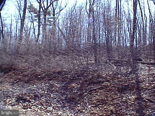 Close to Rt. 30, schools and shopping. Public water & sewer available.