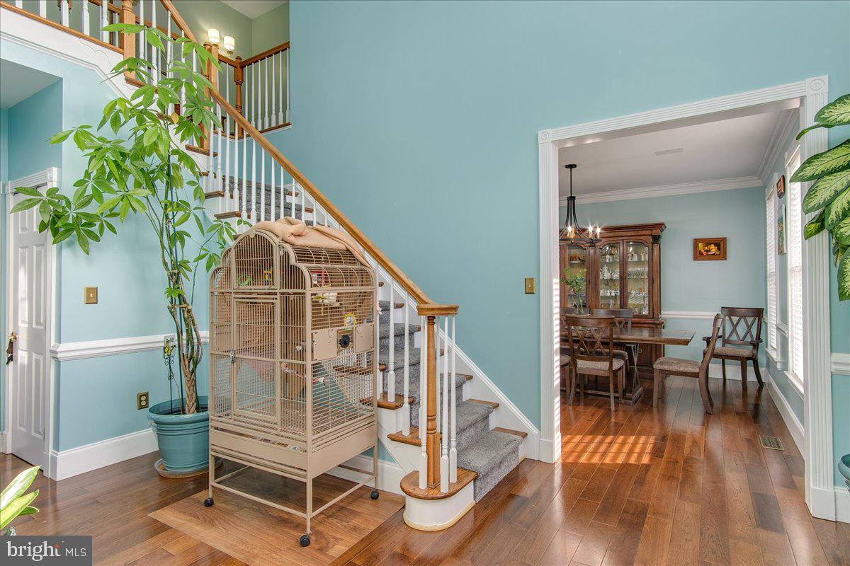BLACK ROCK ESTATES - Residential