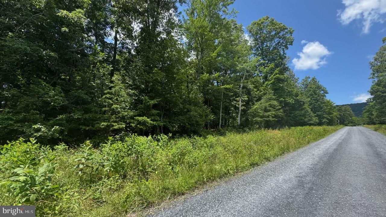 WILD WATER ESTATES - Land
