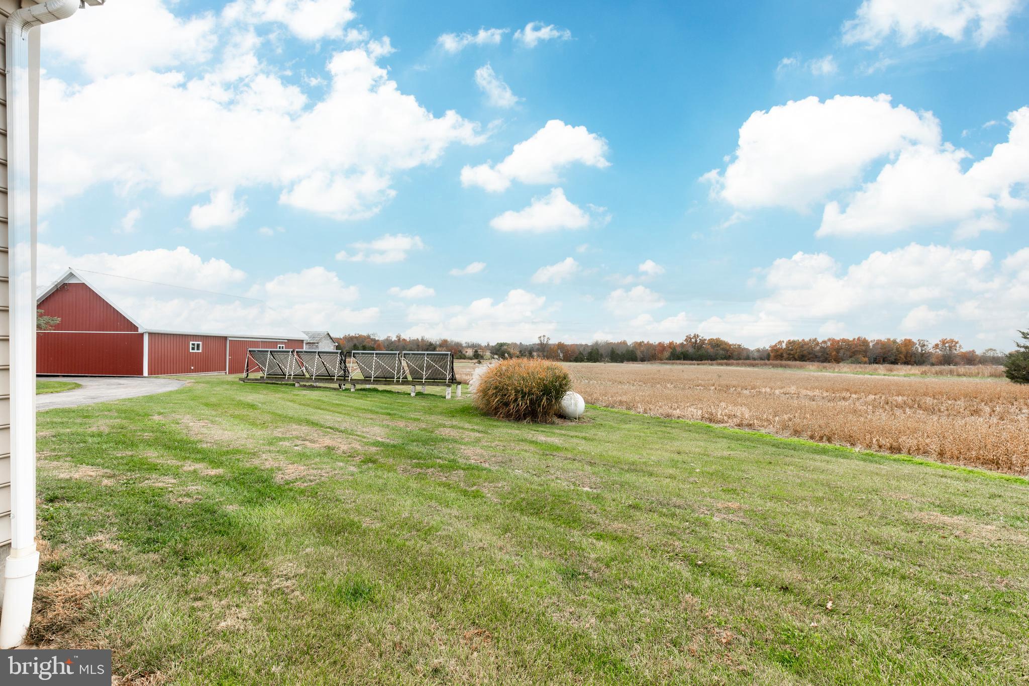 NONE AVAILABLE - Farm