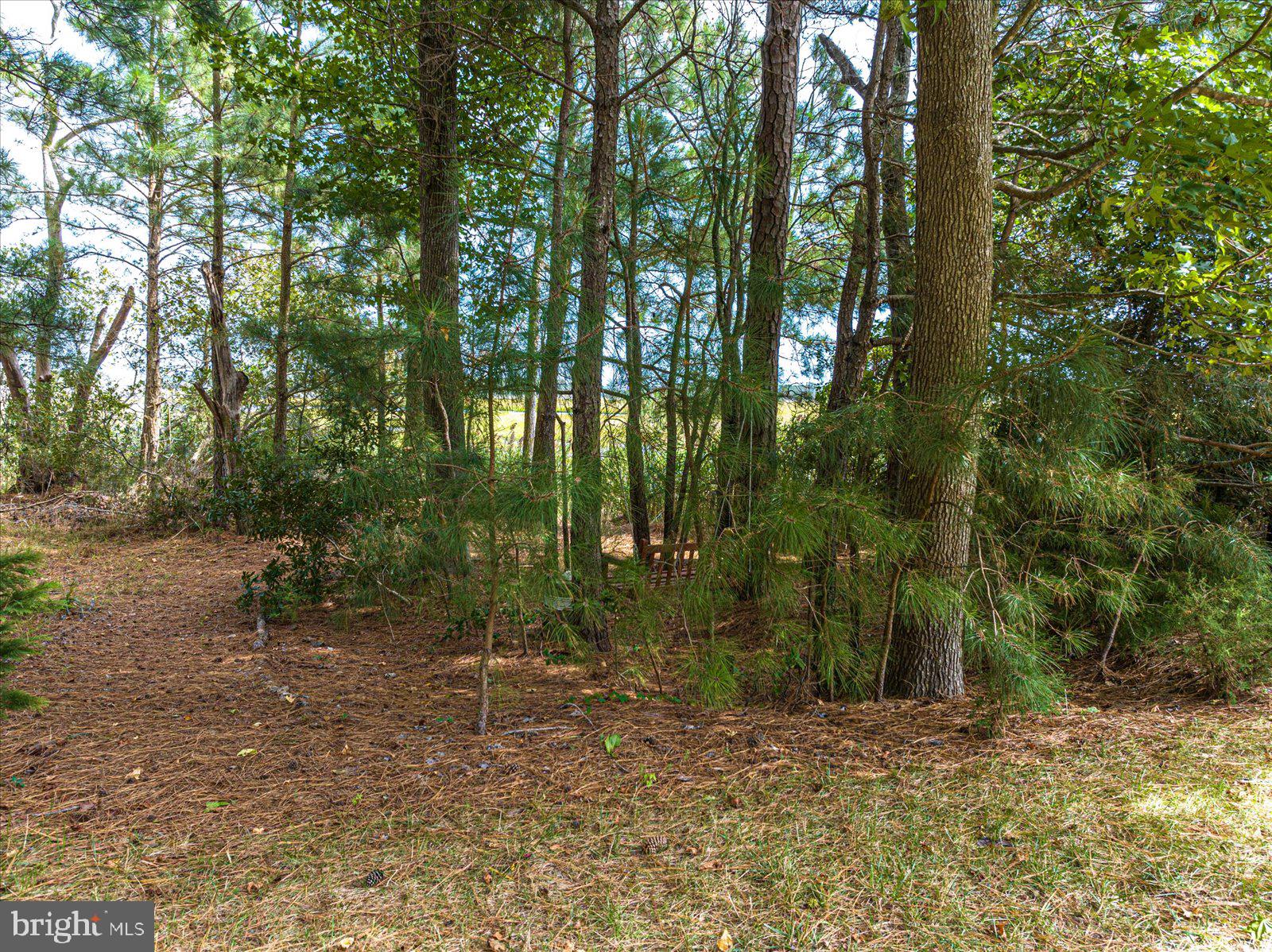 GLEN RIDDLE - Land