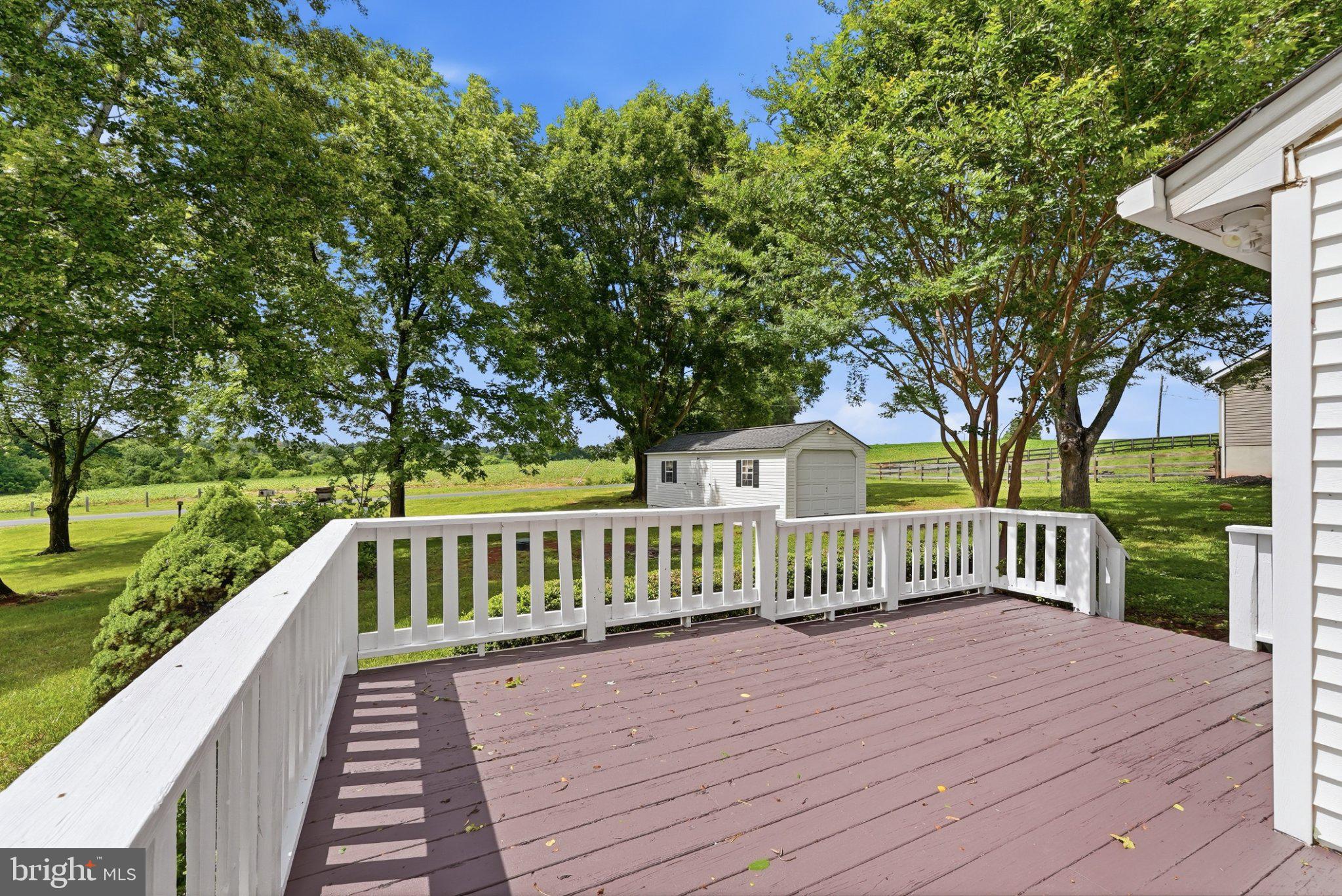 BUCK RUN ESTATES - Residential