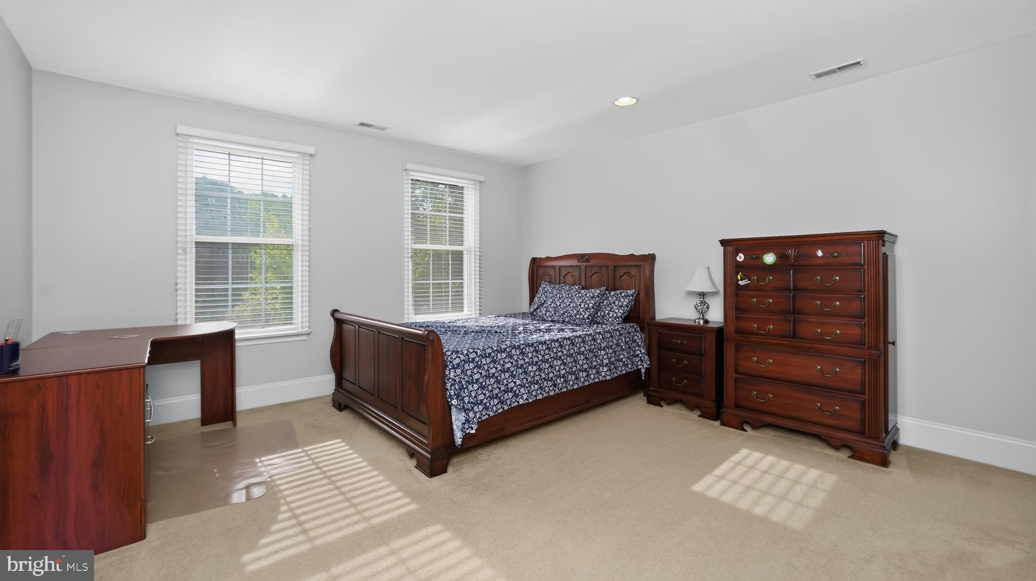 CHESTNUT RIDGE PRSRV - Residential