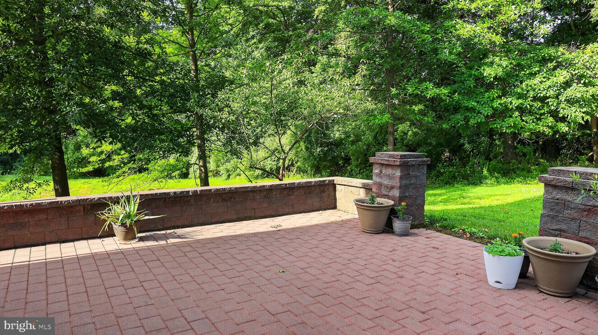 CHESTNUT RIDGE PRSRV - Residential