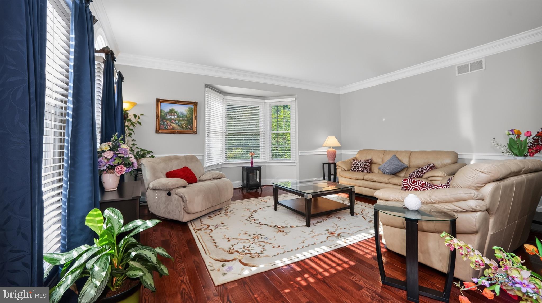 CHESTNUT RIDGE PRSRV - Residential