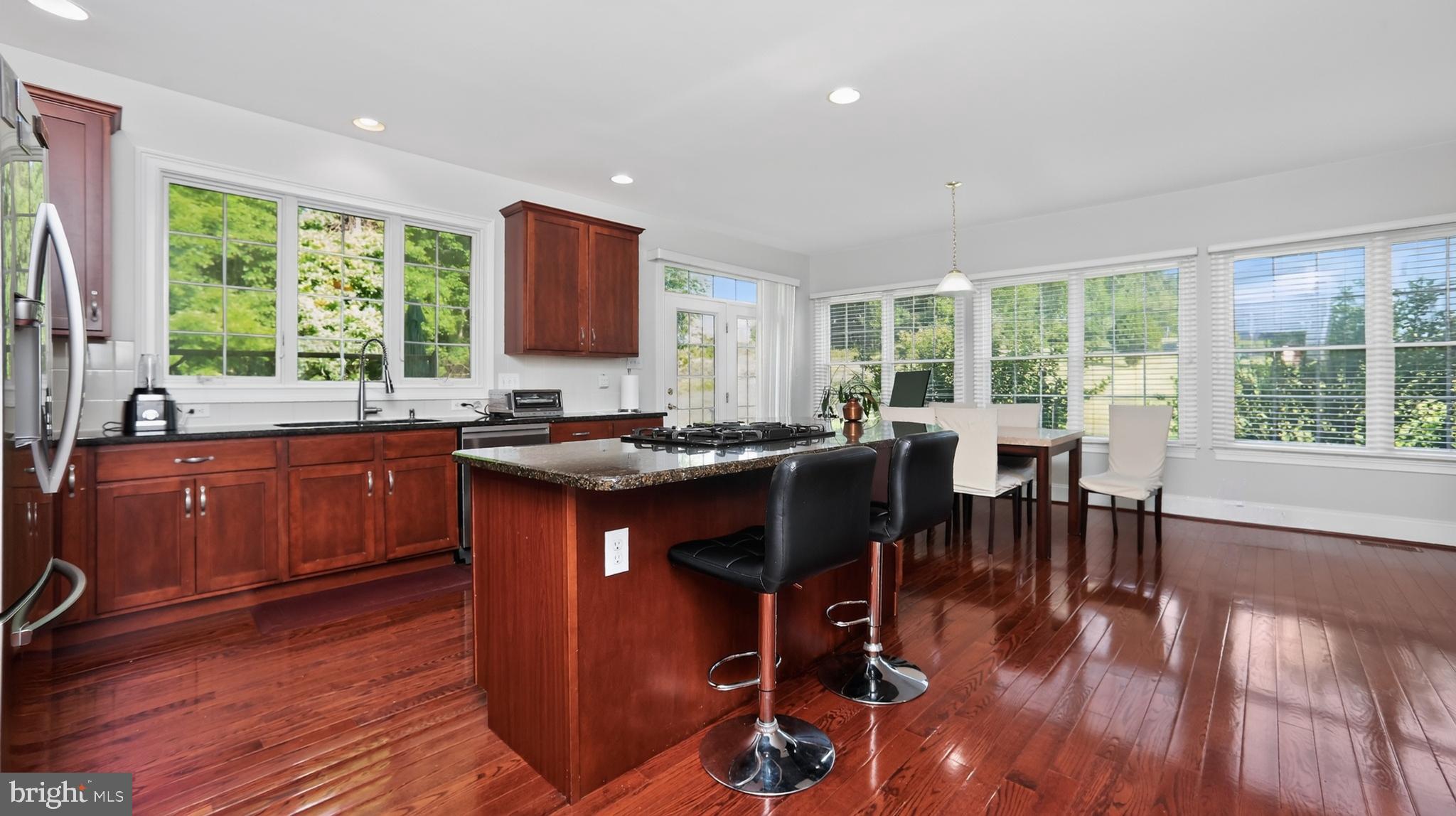 CHESTNUT RIDGE PRSRV - Residential