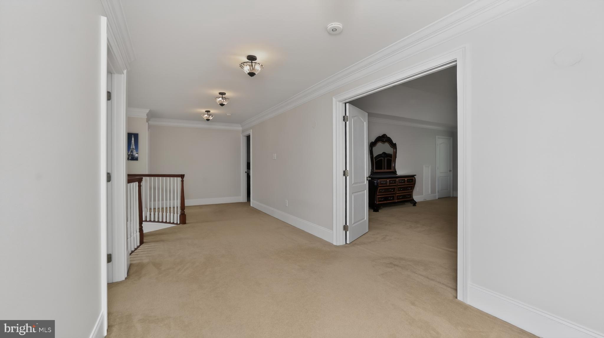 CHESTNUT RIDGE PRSRV - Residential