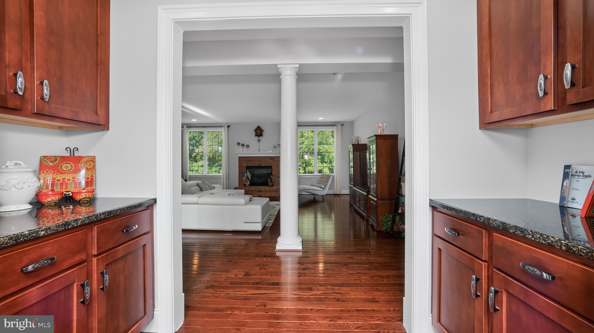 CHESTNUT RIDGE PRSRV - Residential