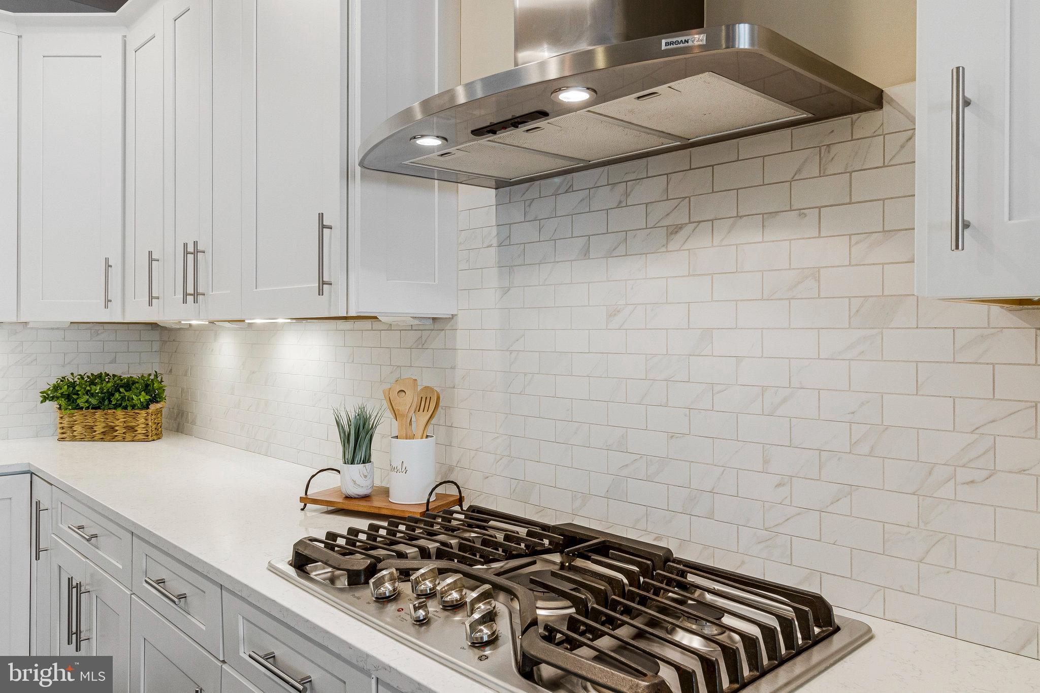 CHESTNUT PLACE - Residential