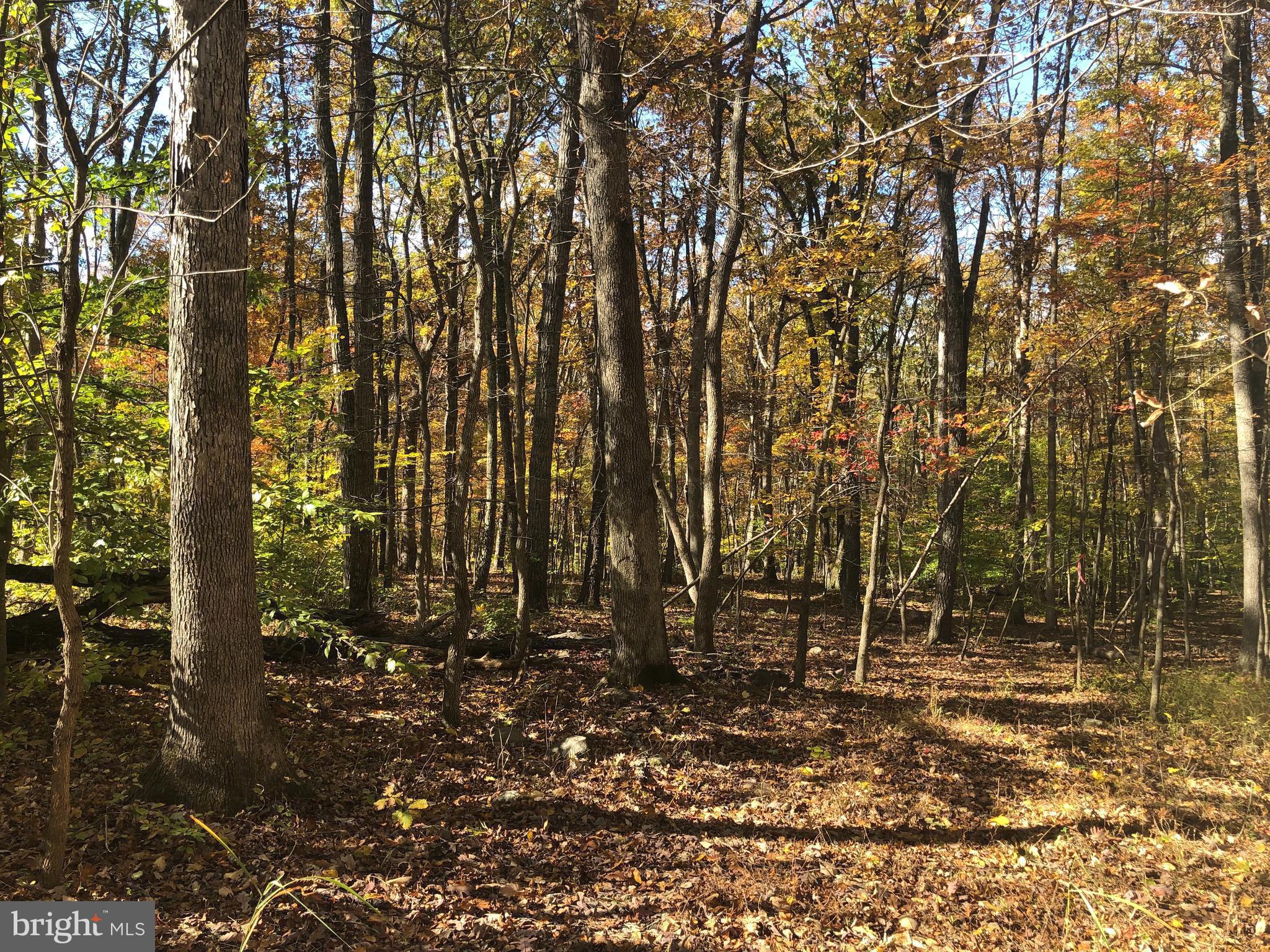 Rare opportunity to own one of the last remaining lots in Ashby Run. This peaceful 5.55‑acre parcel in Bluemont, VA is approved for a 4‑bedroom alternative septic system, offering a strong start for your future custom home. Ideal for either a full‑time residence or a weekend retreat.

Convenient access to Route 7 and Route 50 provides an easy 25‑minute drive to Middleburg and Berryville. The property features mature trees and close proximity to the Appalachian Trail and Shenandoah River, creating a private setting with abundant natural beauty and outdoor recreation nearby.

A unique chance to build in a sought‑after location surrounded by nature.