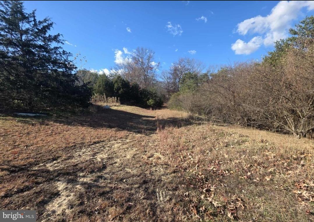 This beautiful 2.75 acre lot is mostly wooded; providing privacy for those seeking it. Convenient to Petersburg, the new owners can build their dream home outside of City Limits but still be close enough for when it matters. With public water hook-up available, underground electric already in place and an approved septic permit on file with the County, a lot of the leg work has already been done. Bring your ideas and builder and make this lot your forever home! There are some existing clearings making this parcel ideal for home building. Call your REALTOR today to see it before it's gone.