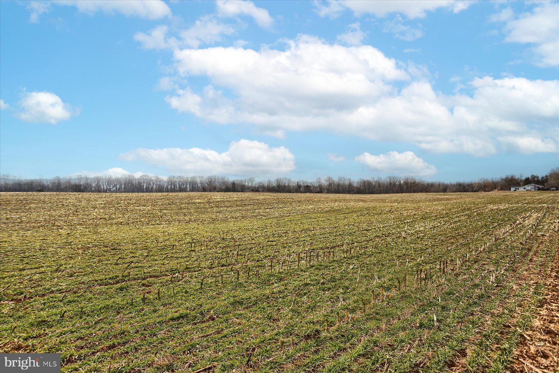 CHAMBERSBURG - Farm