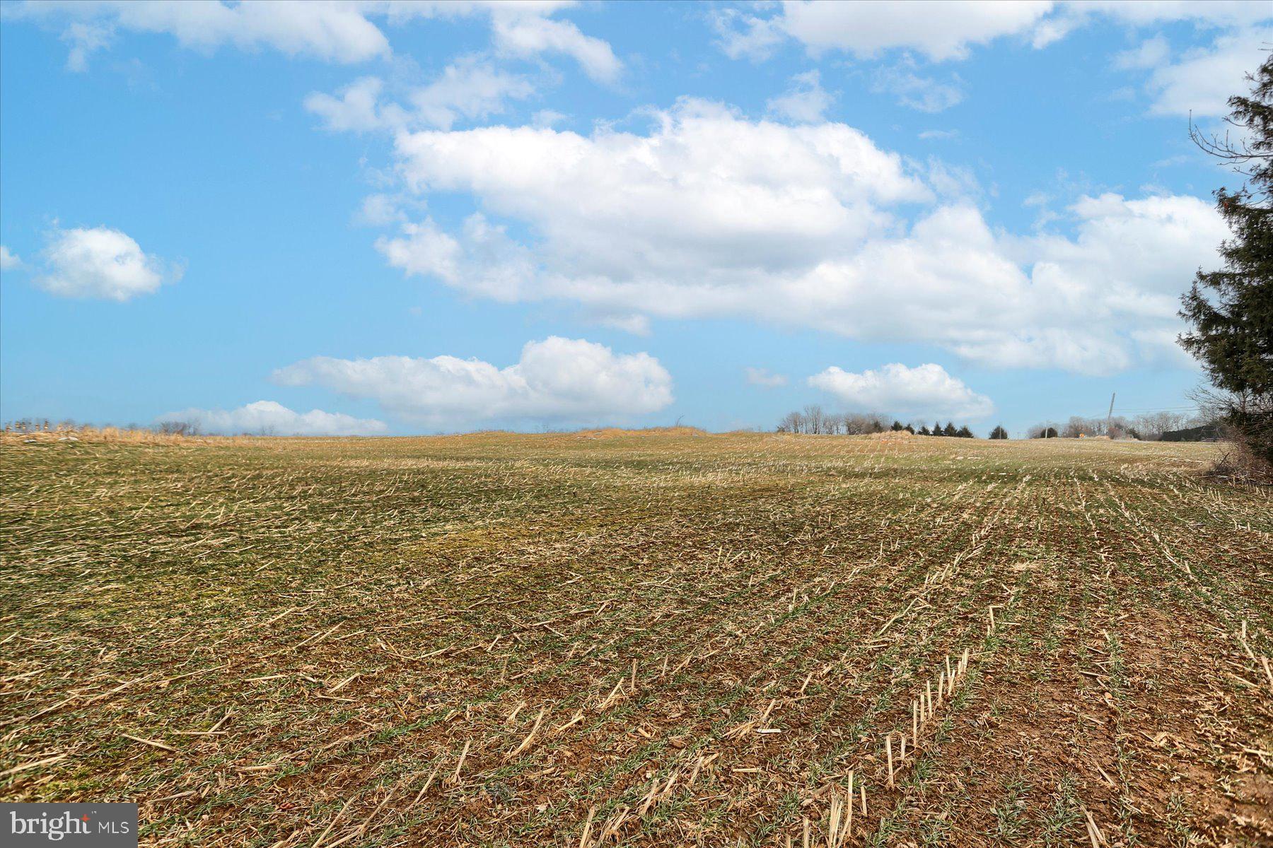 CHAMBERSBURG - Farm