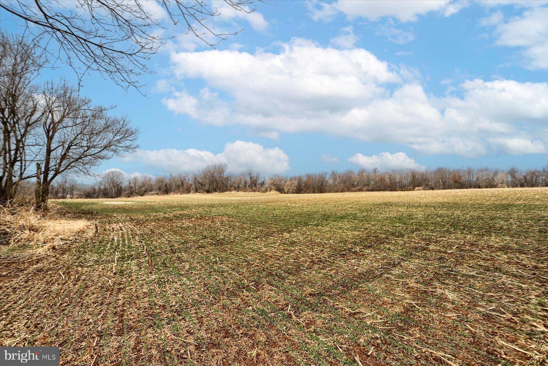 CHAMBERSBURG - Farm