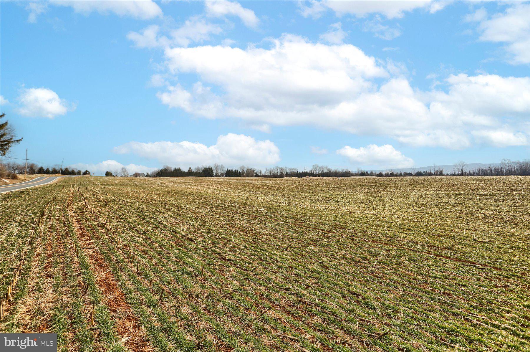 CHAMBERSBURG - Farm