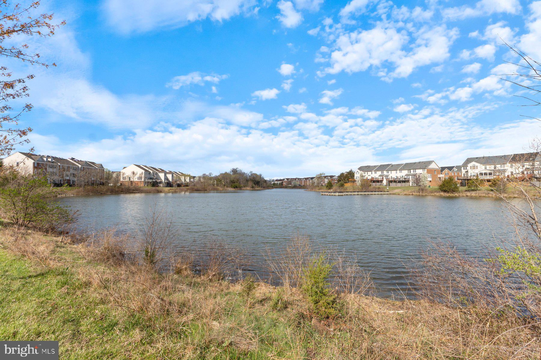 AMBERLEA AT SOUTH RIDING - Residential