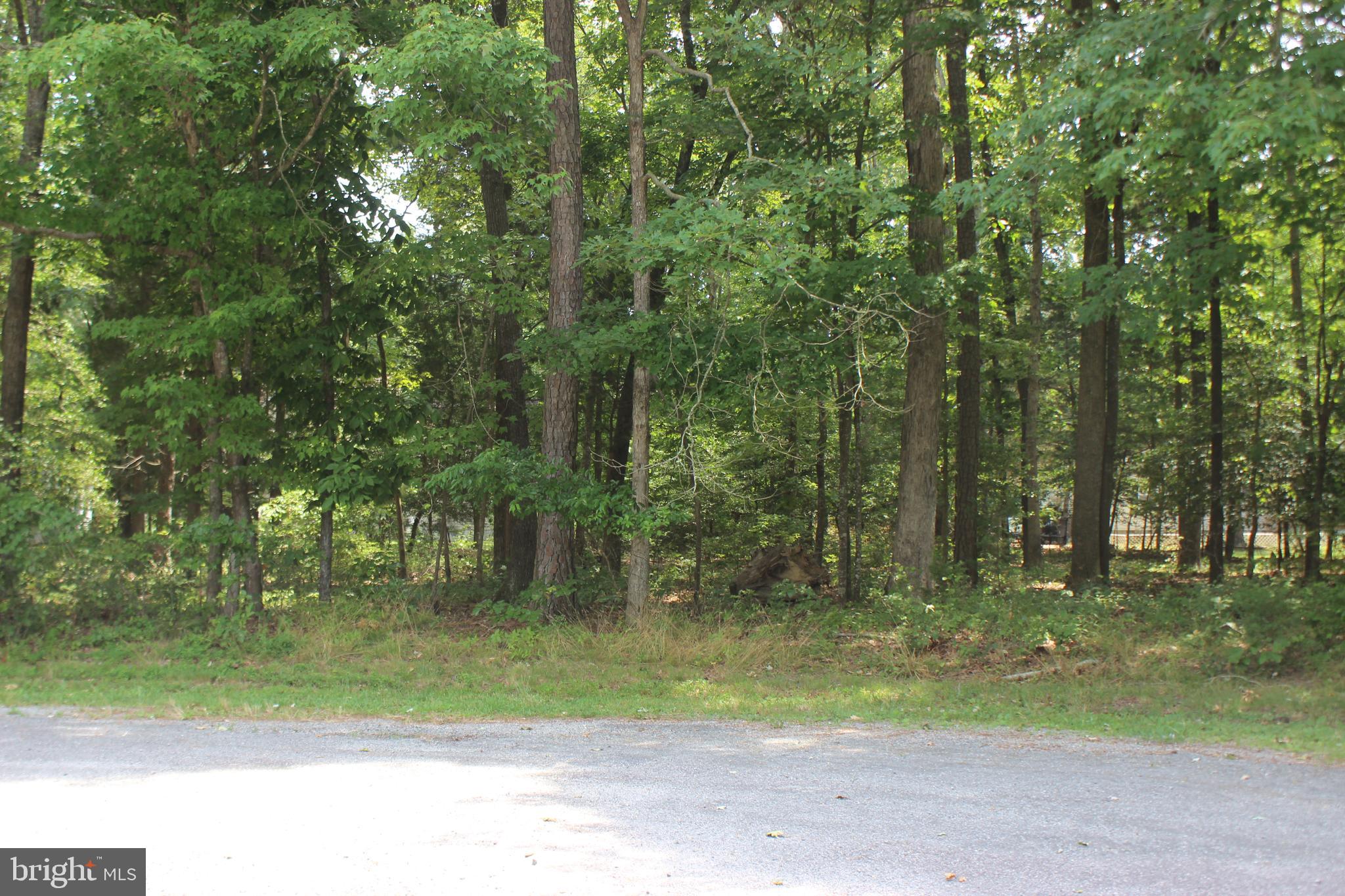 5/2484 Wooded lot located in the heart of Captains Cove on a Cul-de-sac. Lot has water availability. Buy now and build later, take advantage of this great buy! No time frame to build, no builder tie-in. Relax and enjoy all the amenities and the lifestyle on the Eastern Shore of VA. Captains Cove is the Eastern Shore of Virginias fastest growing Golf & Waterfront community; close to Chincoteague Island, Wallops Island and Ocean City MD. HOA amenities: Pristine 9 Hole Golf Course, indoor/outdoor pools (2), fitness center, basketball, tennis & pickle-ball courts, boat ramp, docks, playground, biking & walking trails, dog park, security and so much more. Call for additional information.