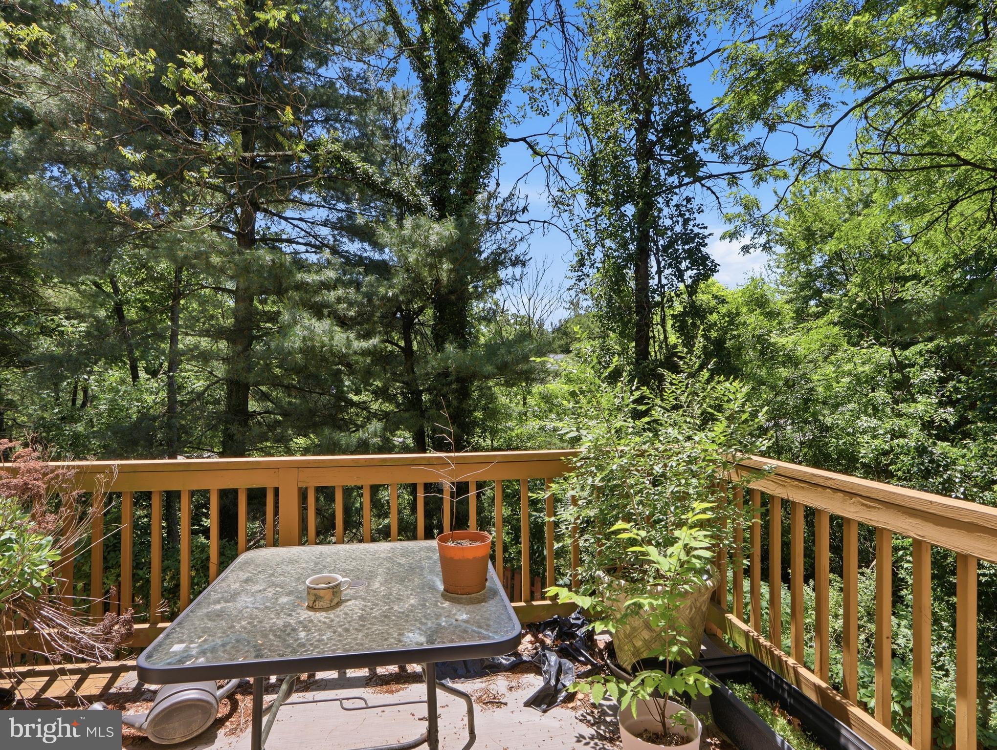 COURTLAND WOODS - Residential