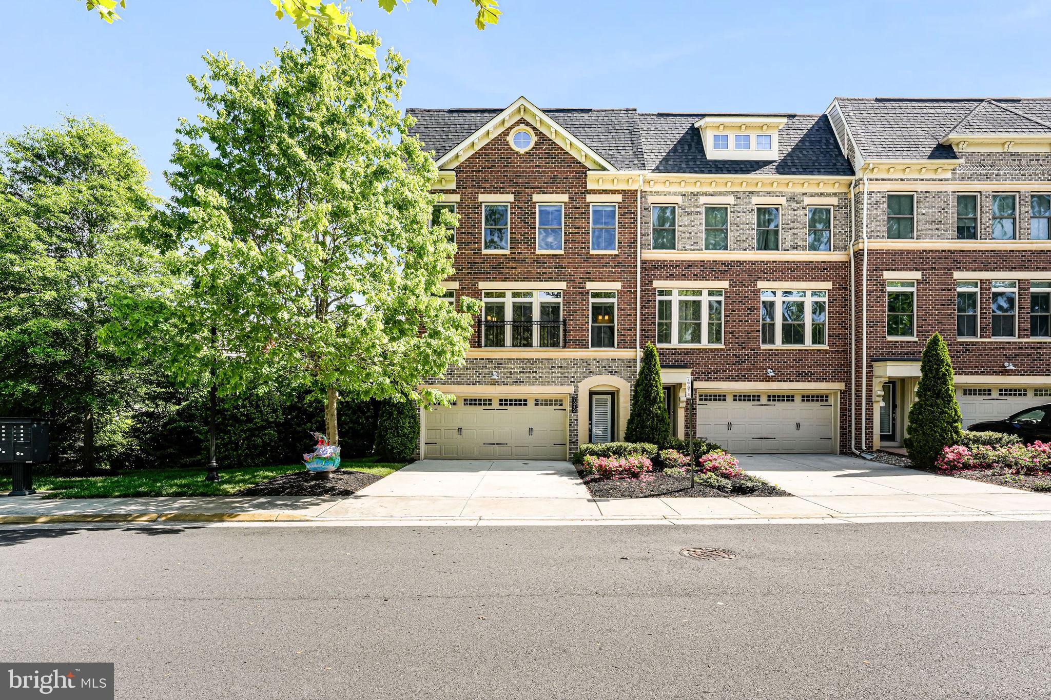 CHESTNUT PLACE - Residential