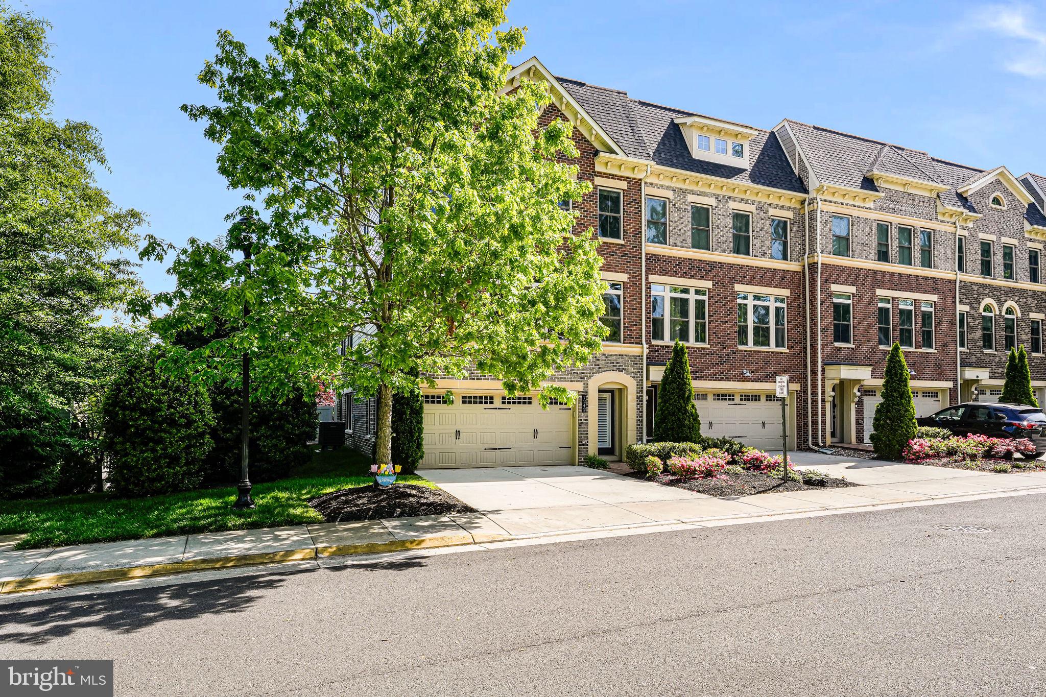 CHESTNUT PLACE - Residential