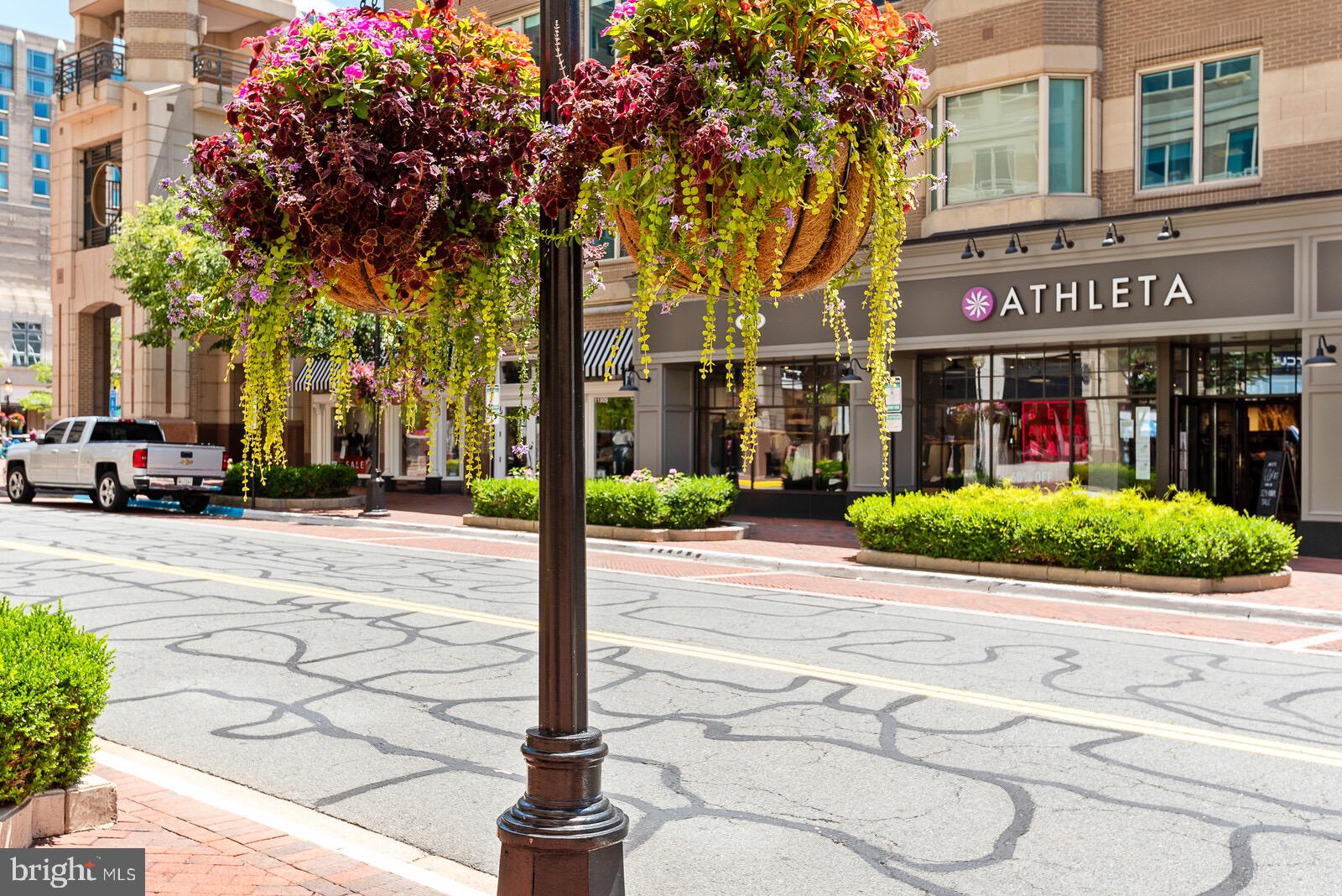 RESTON - Residential Lease