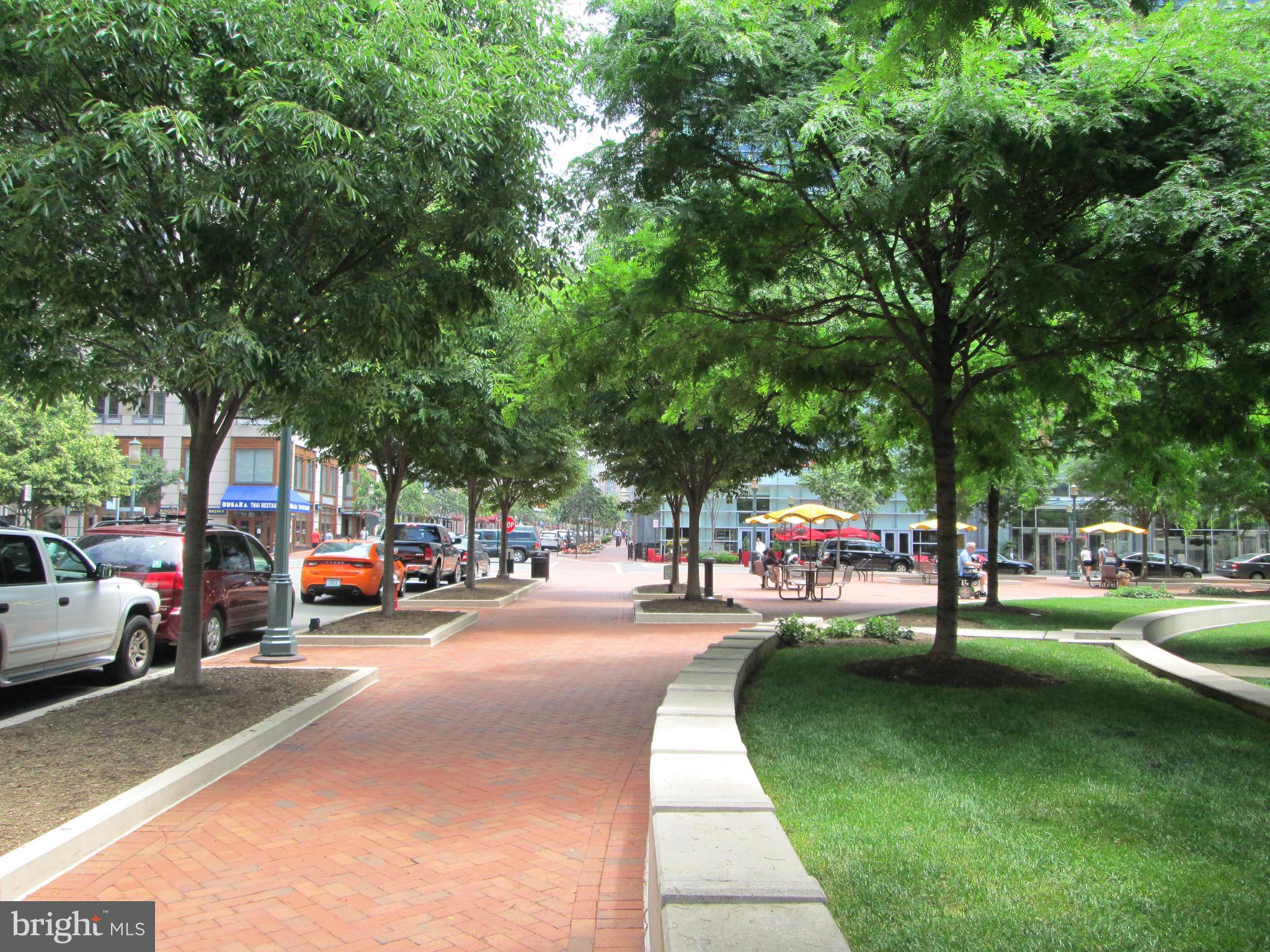 RESTON - Residential Lease