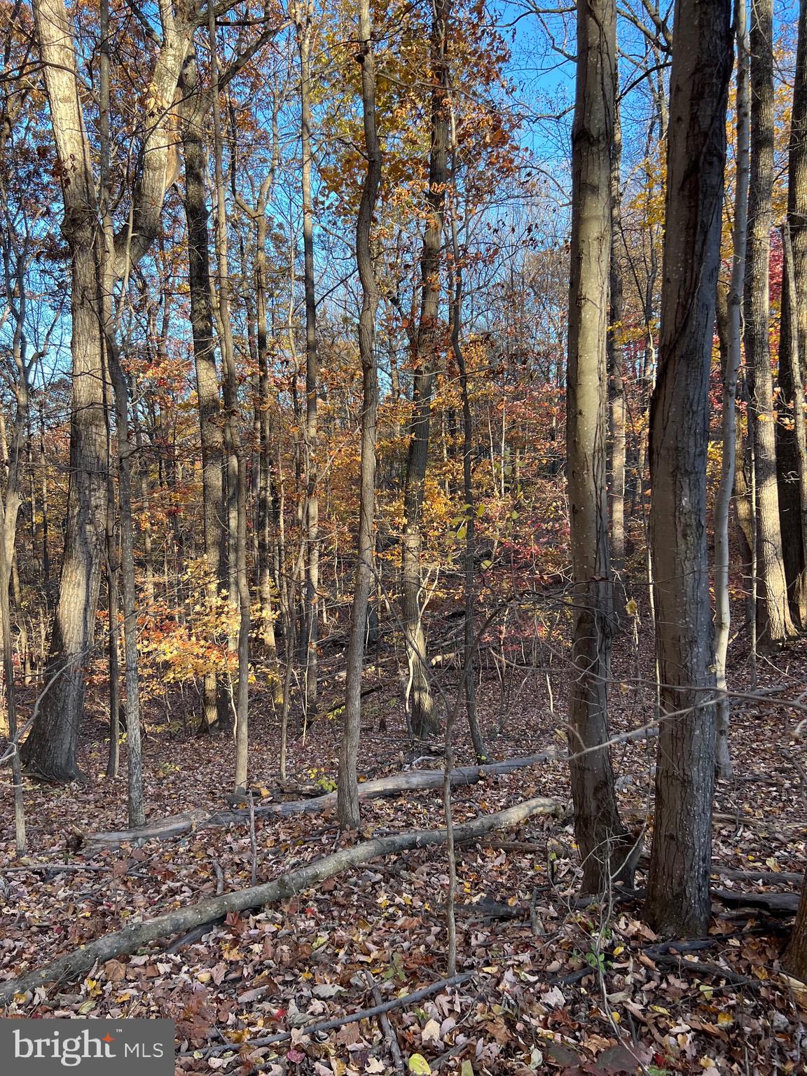 SHENANDOAH FARMS - Land