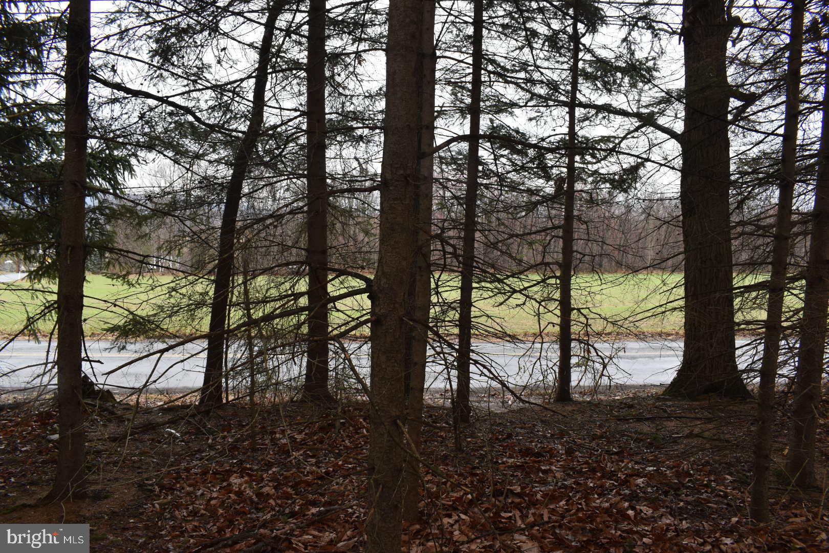 RINGTOWN - Land