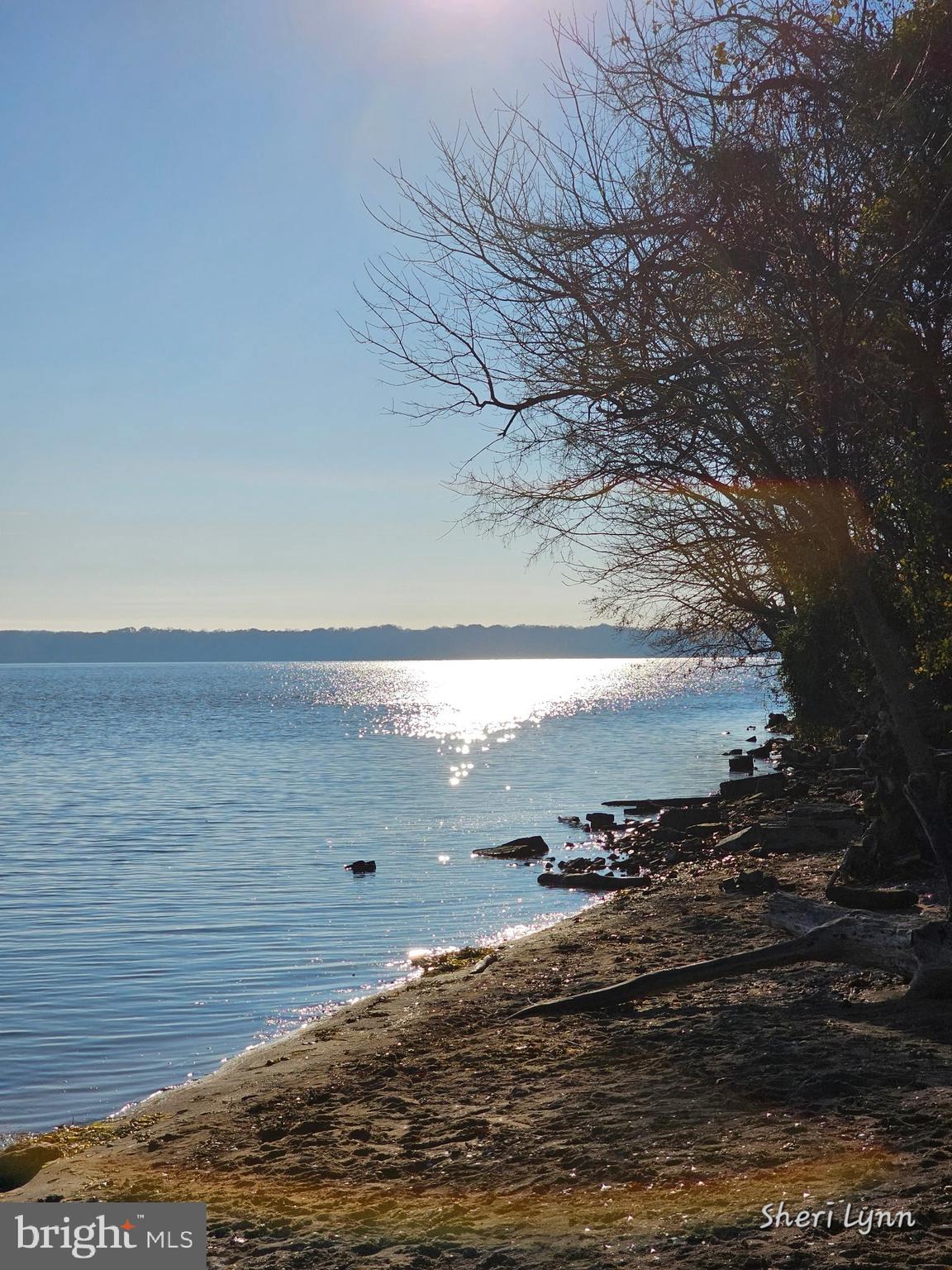 POTOMAC SHORES - Residential