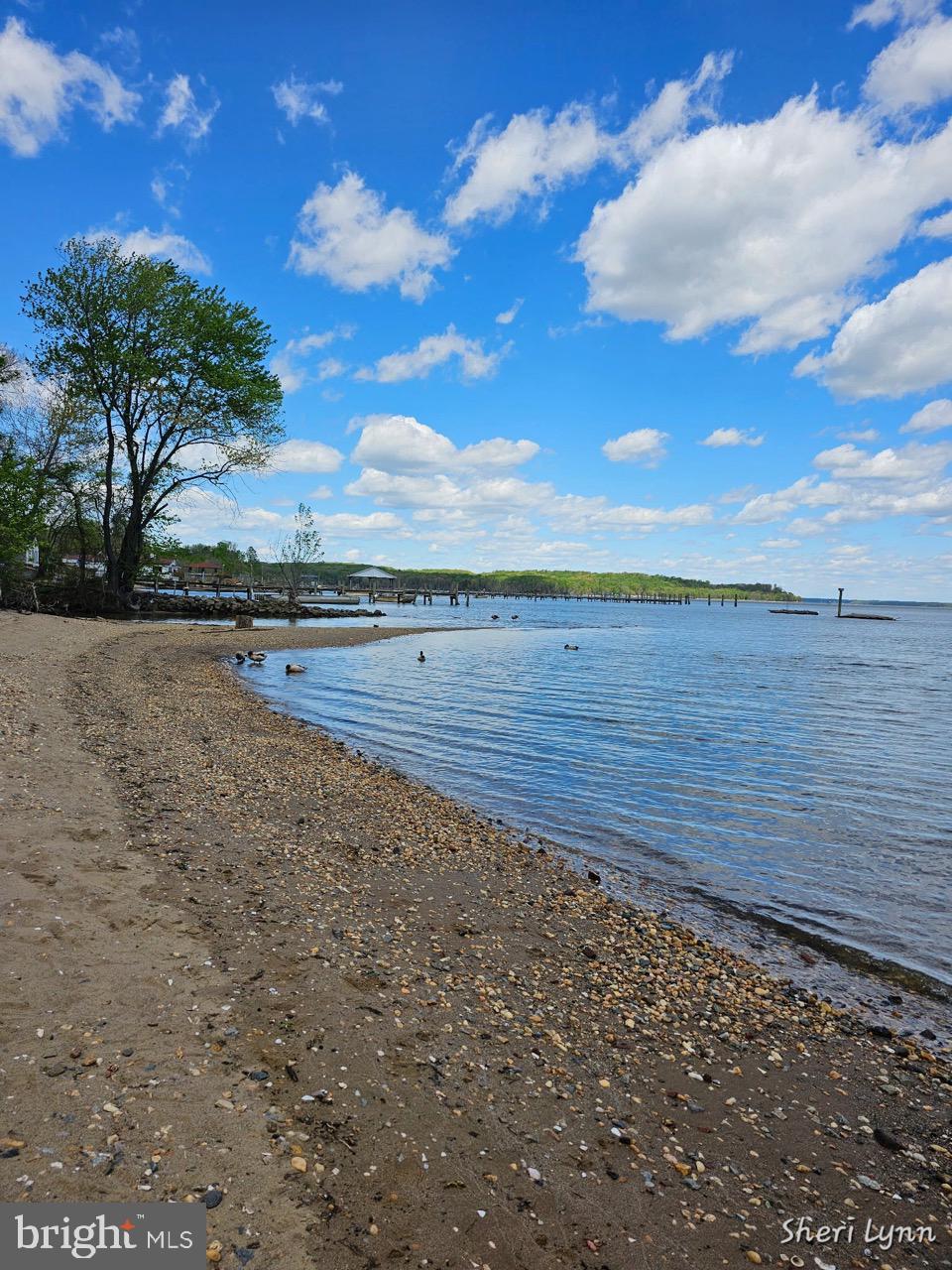 POTOMAC SHORES - Residential