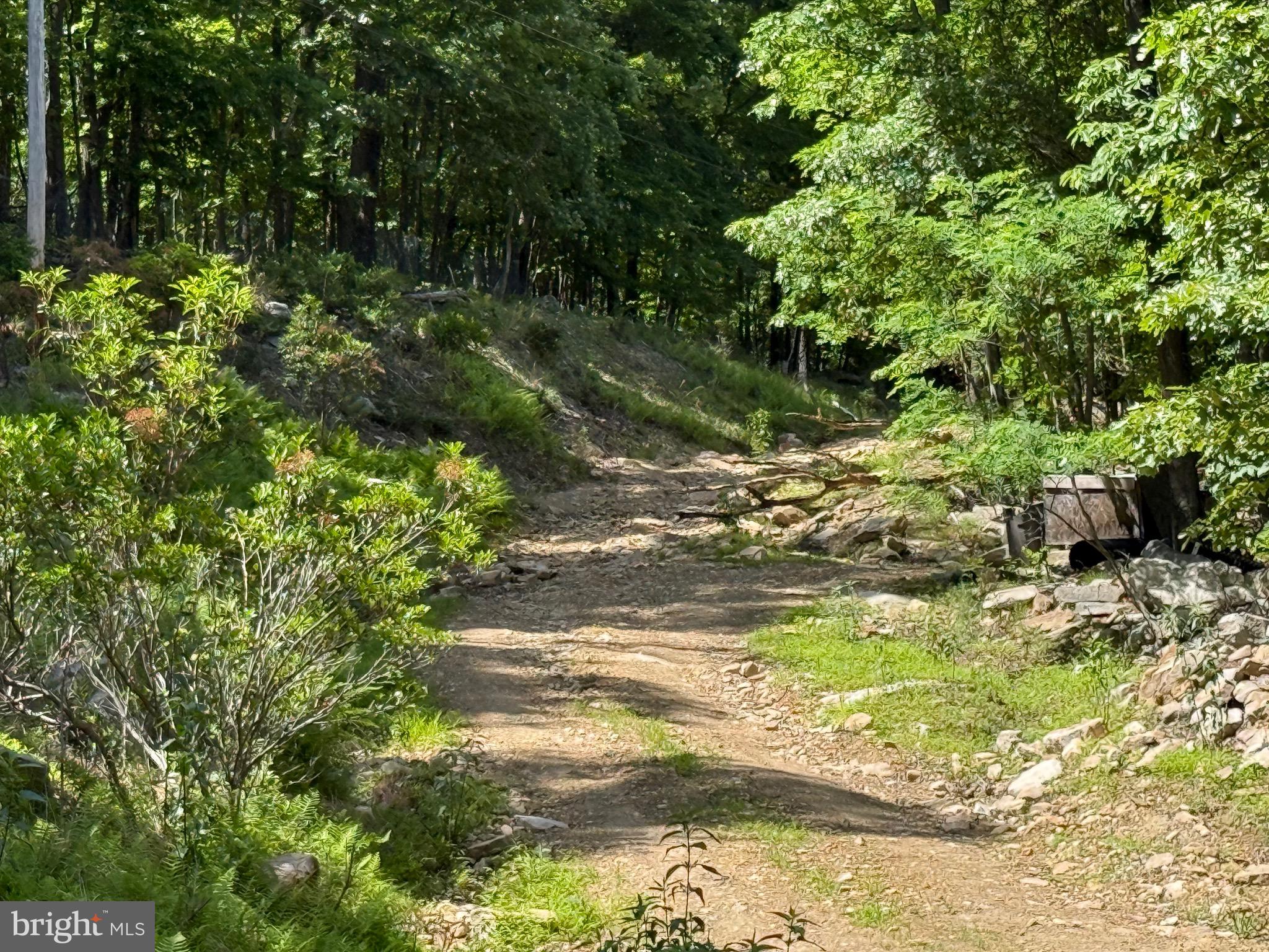 VALLEY HIGH TIMBER FARMS - Land