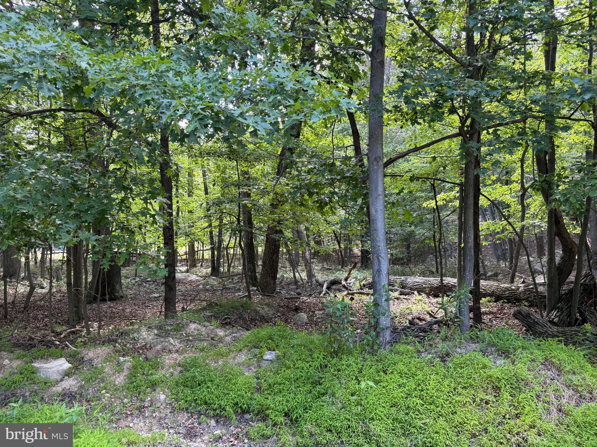VALLEY HIGH TIMBER FARMS - Land