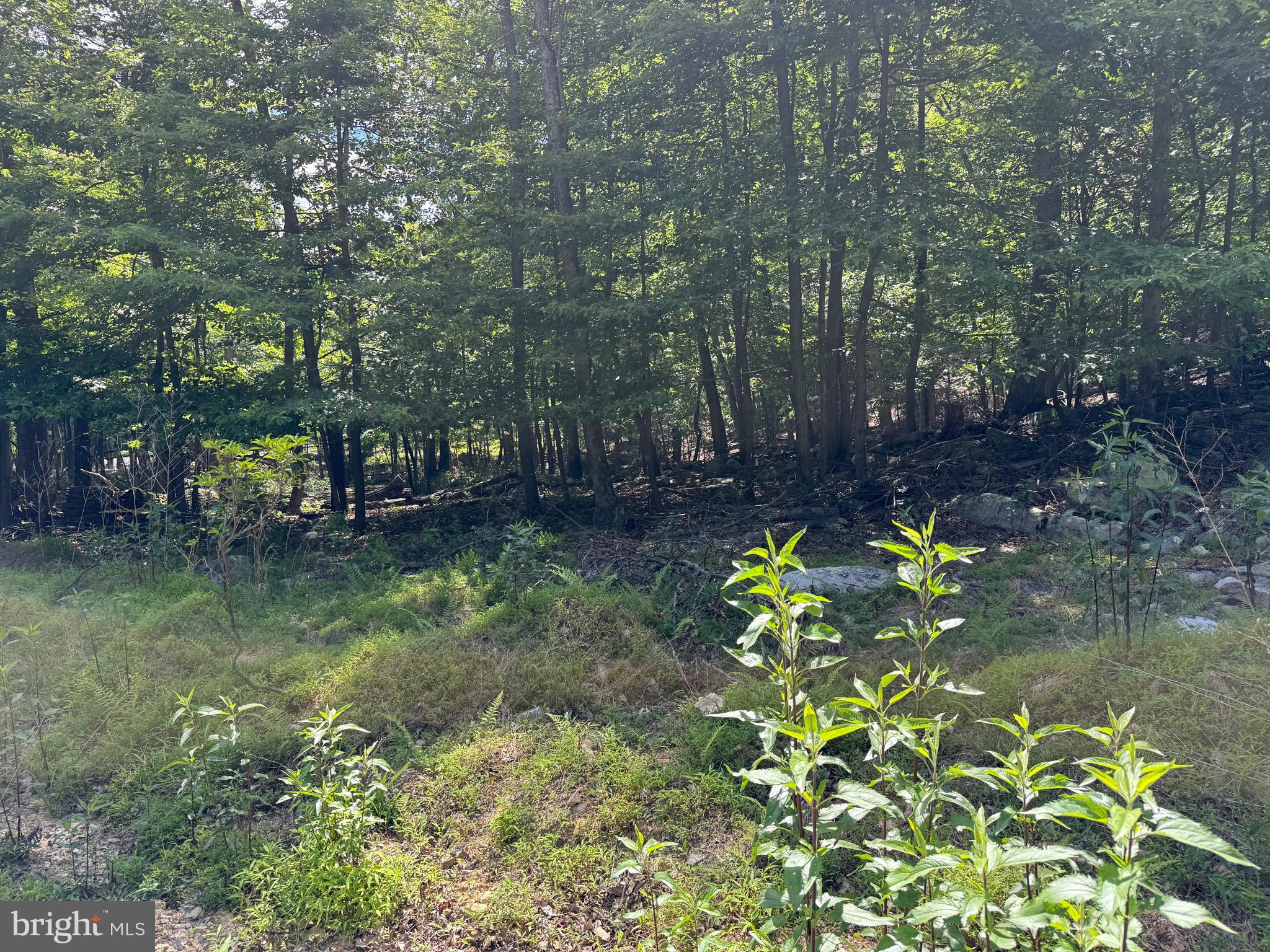 VALLEY HIGH TIMBER FARMS - Land