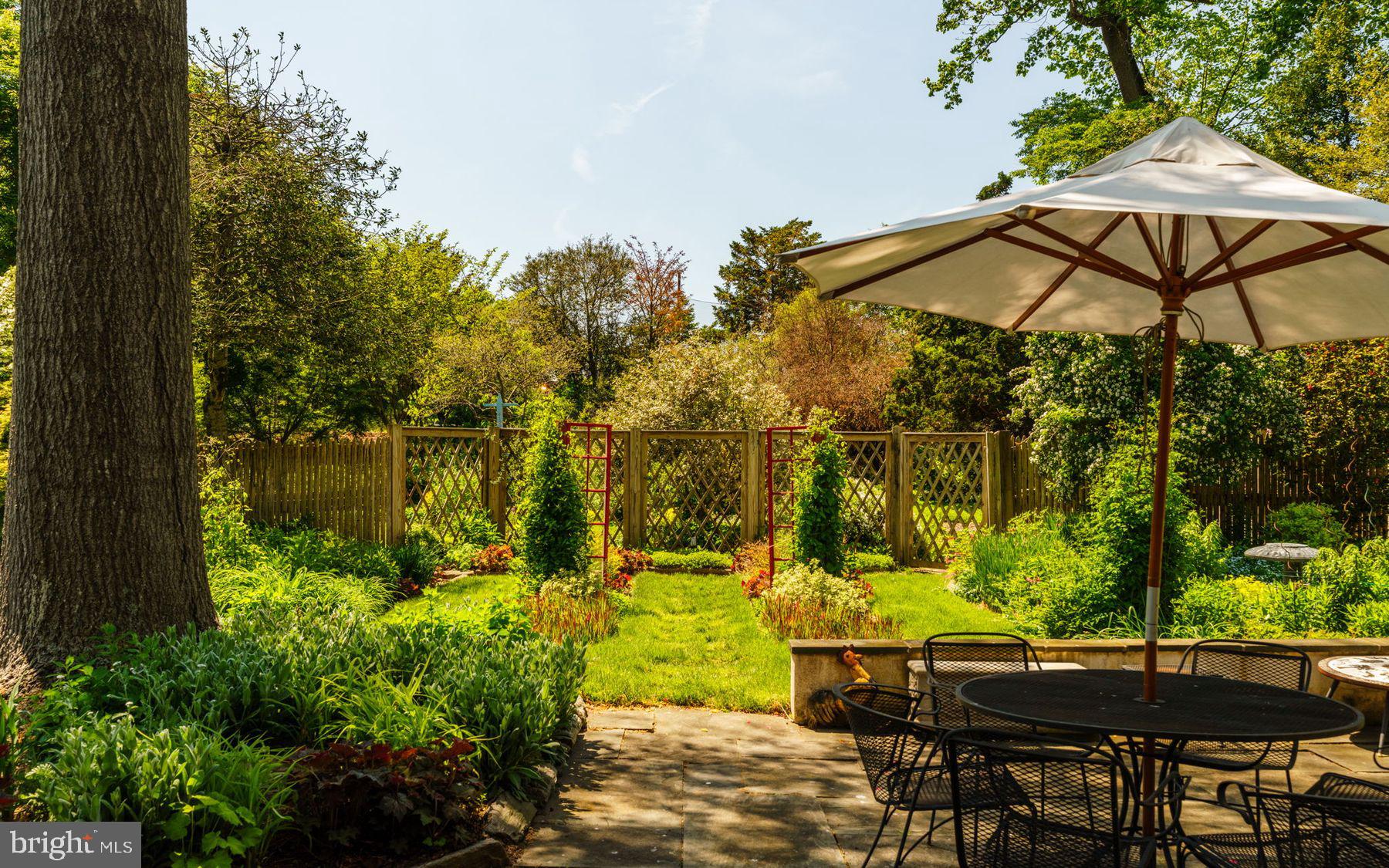 CHESTNUT HILL - Residential