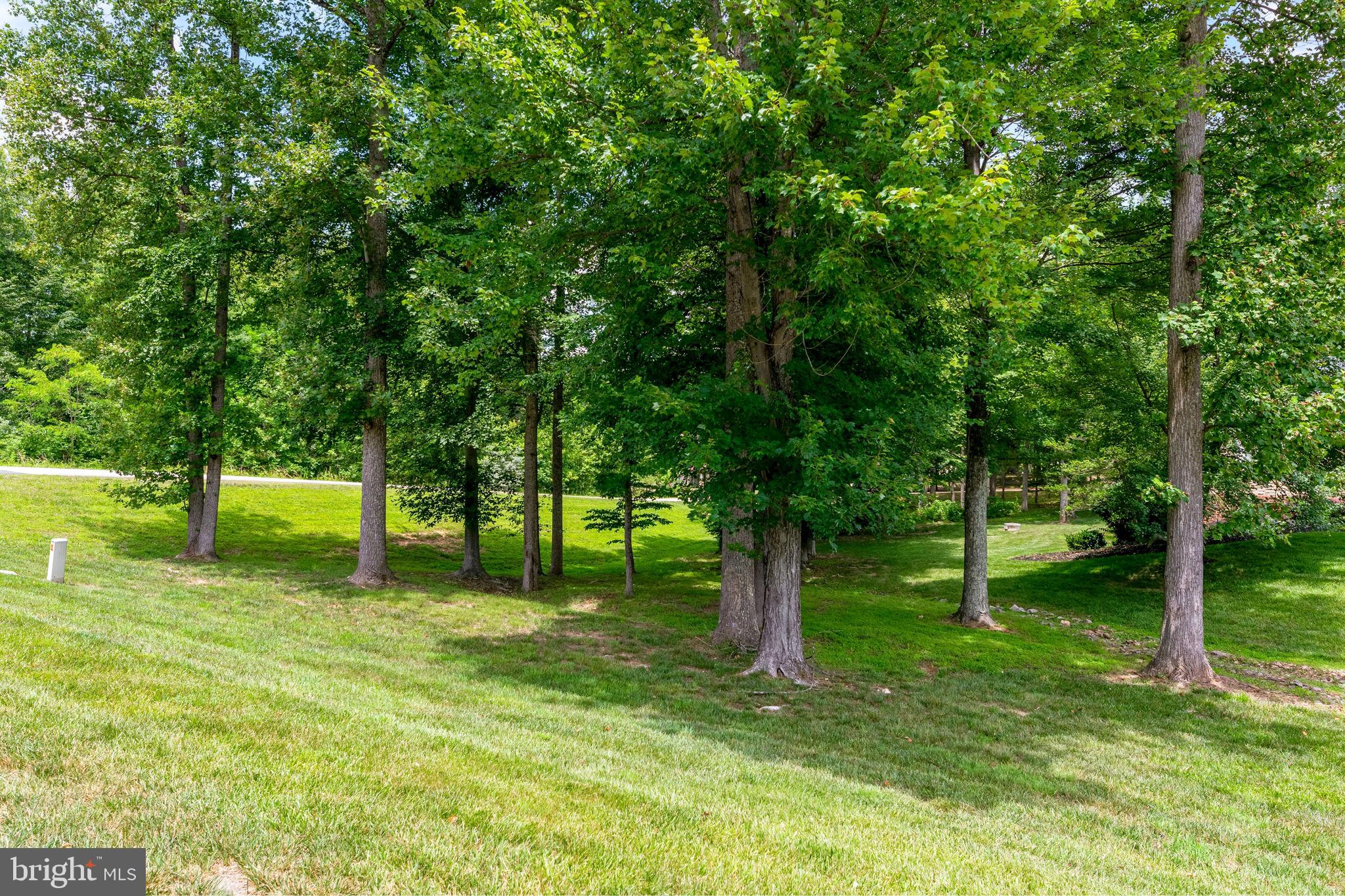 CANNON BLUFF ESTATES - Residential