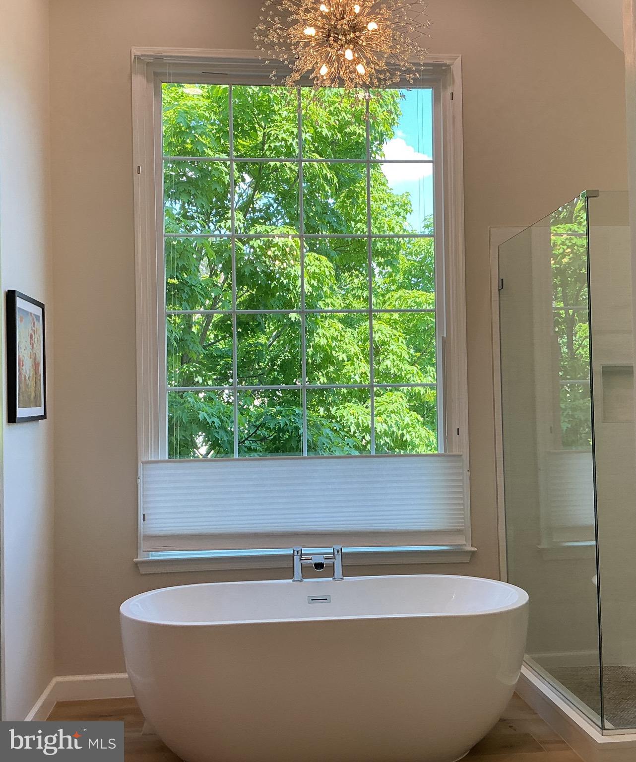 POTOMAC FARMS - Residential