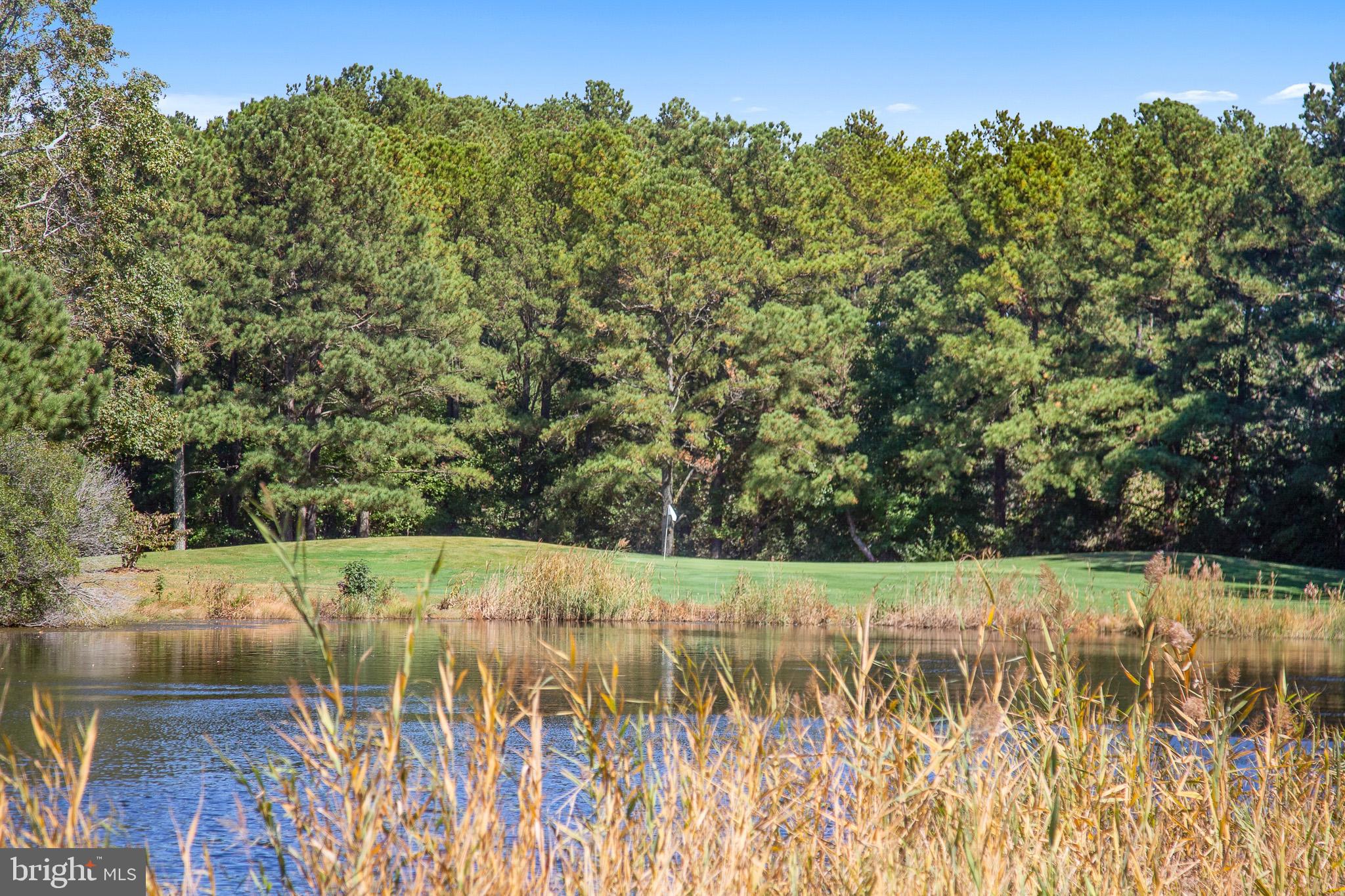 SALT POND - Residential