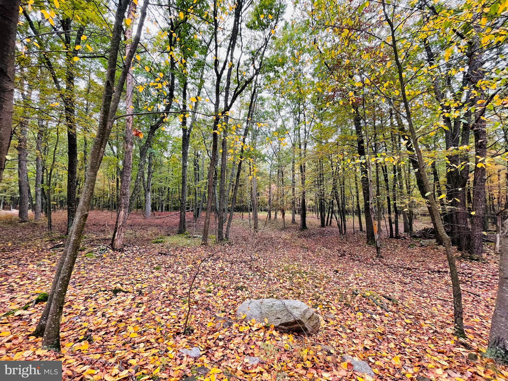 Location, Location, Location!  Ready and waiting for you is a little piece of heaven with this .6-acre building lot in the Cove Village Association.  Clear the rear of the lot for possible mountain and valley views. This is one of the last remaining lots on the sought after ridge side of Haystack Dr.  Situated in the foothills of the Poconos and only 1 1/2 hours to New York this could be where you build your getaway or your forever home.  With easy access to I-81 your commute to Hazleton, Wilkes Barre, or Scranton is a breeze.  Bring your own builder and let's make your dreams come true.   Your building costs are lower here since public water and sewer are already in place ready for you to connect through Aqua of Pa.  Do you desire a cabin or home where you can hunt, fish, ATV, snowmobile, and more?  How does approximately 750 acres of unoccupied prime hunting, ATV, and snowmobile riding land, sound to you?  Yes, that's right!  Adjoining the residential portion of Cove Village is just that for residents of the community and their guests!  Driving through the community, the peace and tranquility will envelop you.  The homes vary from rustic cabins, chalets, traditional ranch, two-story homes, exquisite new construction, and even dreamy mountain log homes.  There really is something for everyone.  The approximately 278 acres of residential homes and lots are occupied by full-time residents, part-time vacation homes, and even some snowbird second homes.  Cove Village is located in the mountains of Northeastern Pennsylvania and offers an abundance of amenities including a swimming pool, stocked fishing lake, a basketball court, tennis courts, a volleyball court, 2 playgrounds, a baseball field, ATV paths, hunting, a mini golf course, walking paths, and year-round Community events.  I can't forget to mention the beautiful lodge ideal to rent for family gatherings.   This lot and community just might be exactly what you've been looking for.  Air B and B are not permitted. Camping on vacant lots is not permitted.  Mobile homes are not permitted.  The minimum square footage when building is 1400 square feet.  The community maintains the roads and snow removal.  Trash collection is also provided.   An appointment is required to view due to the gated community.  Call to schedule your tour today!
