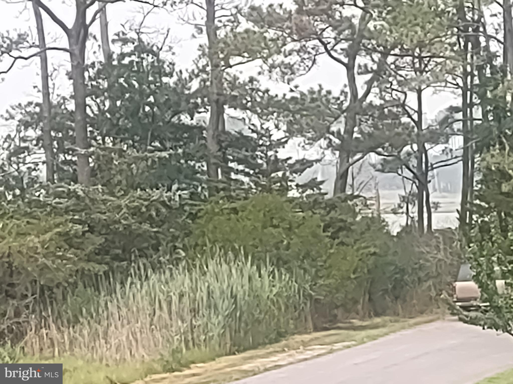 One of the last lots available in Cape Isle of Wight! From your second floor  you will be able see beautiful sunsets and views in the distance of Herring Creek. Lot faces South and is across from wetlands where wildlife abounds. It is very unlikely anything can be built across the street. Non tidal wetlands permit is on file to fill 4999 sq. ft. as shown on the permit survey.  That gives you an area of approximately 60' wide x  83' deep. The allowable area of fill can be altered as long as you don't exceed 5000 sq. ft. .The lot is approximately 150' deep. Buyer to verify all information pertaining to county, state and federal  regulations. More pictures will coming be soon. Owner is a licensed Maryland real estate sales person.