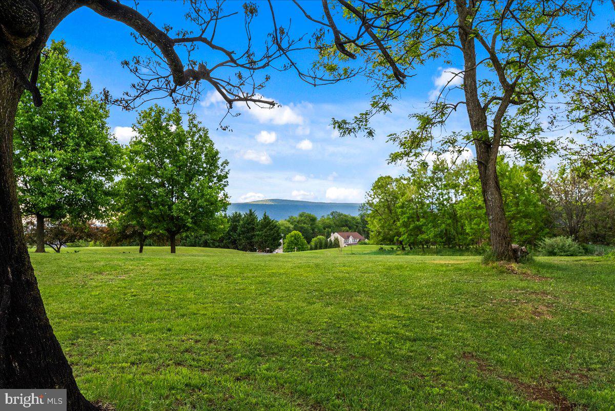 WAVERLY VIEW - Residential