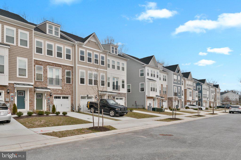 ESSEX - Residential