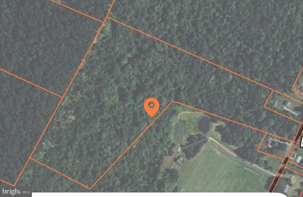 23± Acres on Butler Chapel Road – Rare Opportunity! 🌳
Discover the perfect blend of convenience and tranquility with this stunning 23± acre wooded parcel located on highly desirable Butler Chapel Road. Just minutes from I-81, this property offers easy access while maintaining a peaceful, private country setting.
Property Highlights:
Fully wooded acreage with beautiful natural surroundings
Multiple excellent building sites with gentle elevation
Serene, quiet, and private – a true escape from the everyday
Ideal for your dream home, family compound, or multiple homes
Rare opportunity in a sought-after location
Whether you're looking to build your forever home or invest in land with incredible potential, this unique property offers the space, privacy, and natural beauty that are becoming harder to find.
Don’t miss your chance to own this exceptional piece of land—opportunities like this don’t come along often!