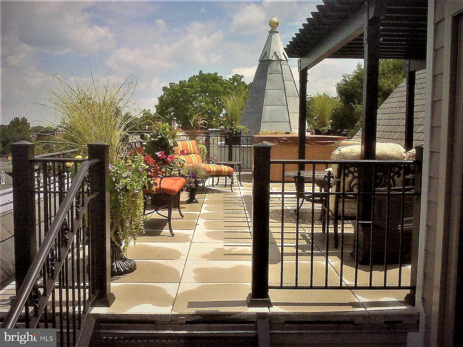 CHESTNUT HILL - Residential