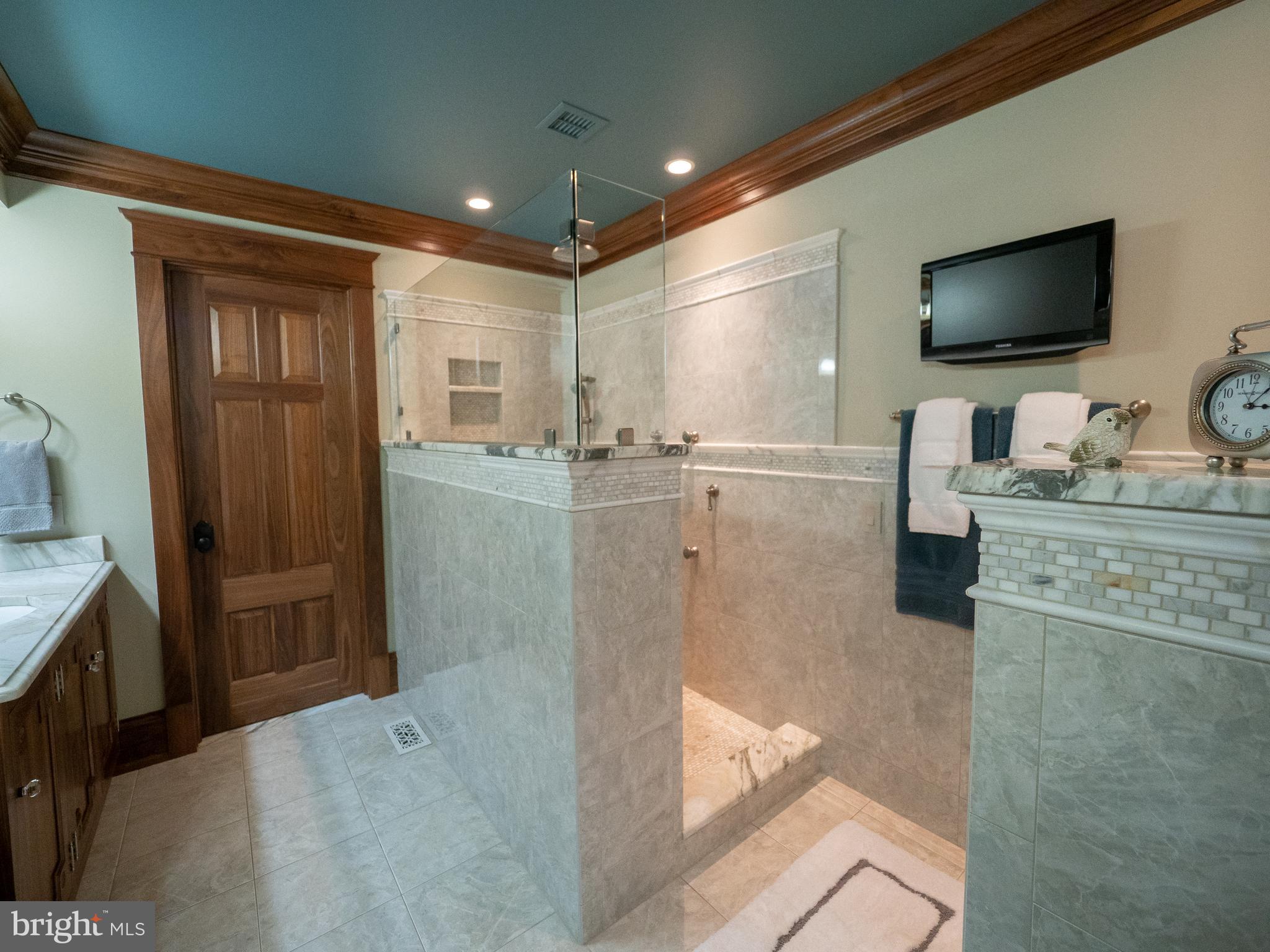 CHESTNUT HILL - Residential