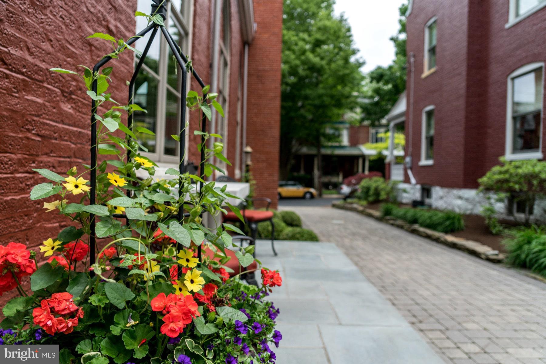 CHESTNUT HILL - Residential